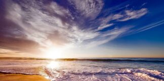 Czy picie herbaty z cukrem jest zdrowe?