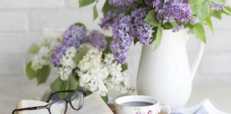 Czy herbata rooibos jest to samo co Pu erh?