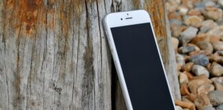 Co na identyfikator dla psa?