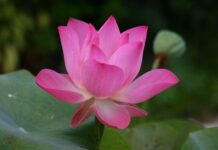 Jak się mówi po angielsku breloczek?