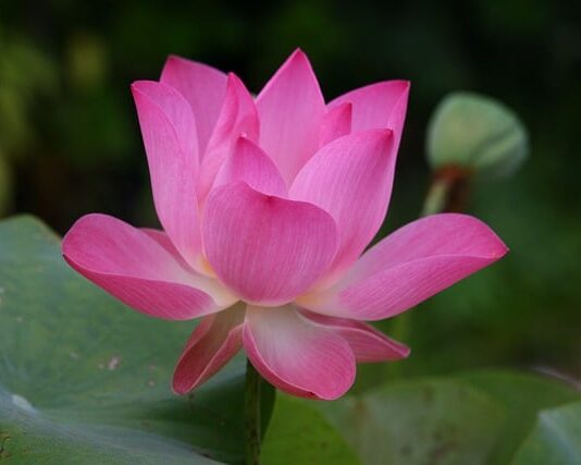 Jak się mówi po angielsku breloczek?