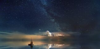 Czy białą herbatę można pić na noc?