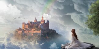 Ile pali FIAT Ducato 23 JTD?