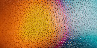 Czy myć się ryby przed zamrożeniem?