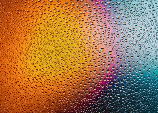 Czy myć się ryby przed zamrożeniem?